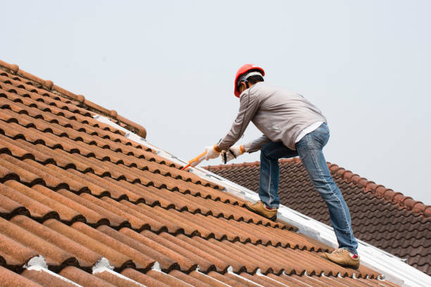 Best Roof Leak Repair  in Massanutten, VA